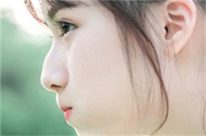 上海的后花园是指城市中各式各样的公园和绿地